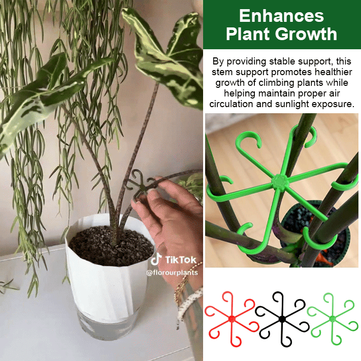 Plant climbing flower stem folding clamp (8Pcs/set)
