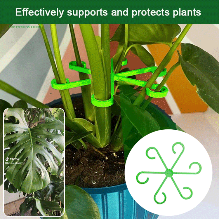 Plant climbing flower stem folding clamp (8Pcs/set)