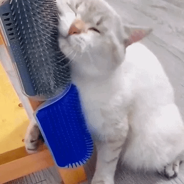 🔥Corner Massage Cat Brush