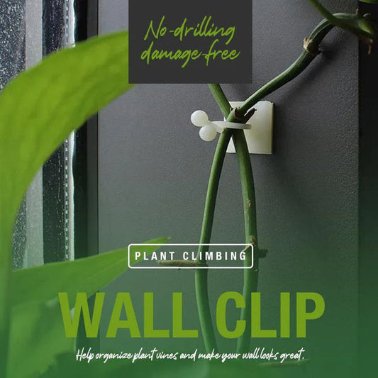 Plant Climbing Wall Clip(20Pcs/Set)