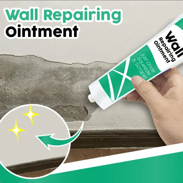 Wall Repairing Ointment（100g）