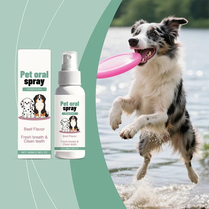Gentle Pet Oral Care Spray - Denna