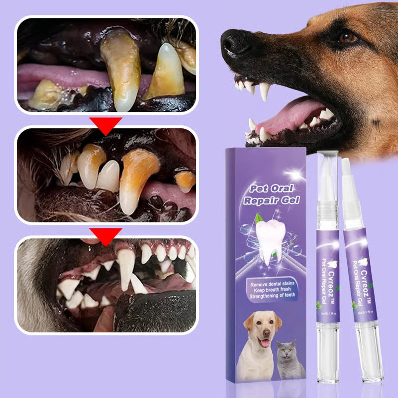 🌈 Pet Oral Repair Gel