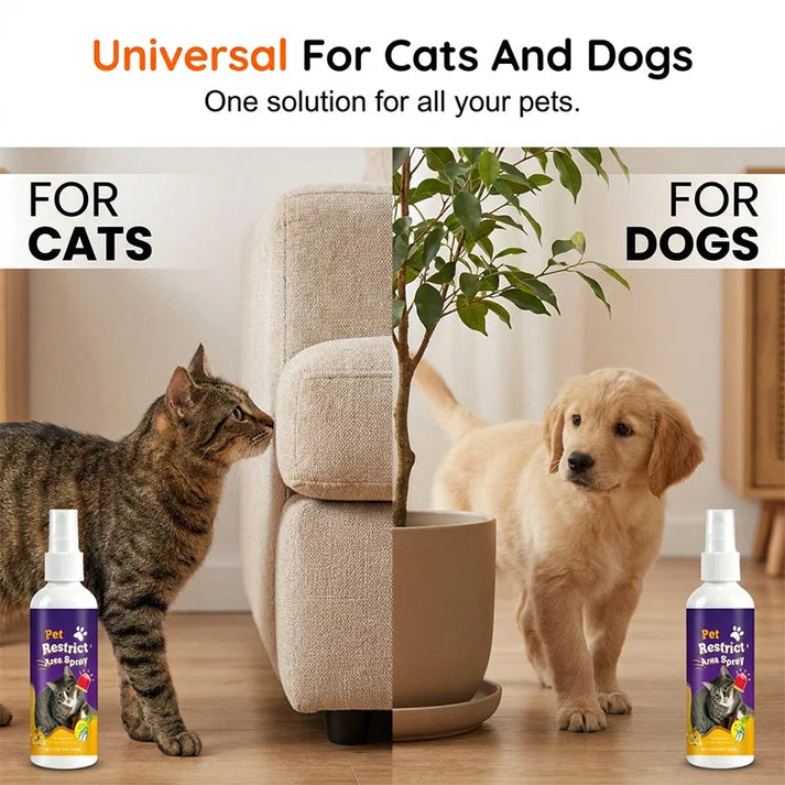 Pet Boundary Spray – Citrus formula, safe around kids. Reusable, effective. Teach boundaries without stress