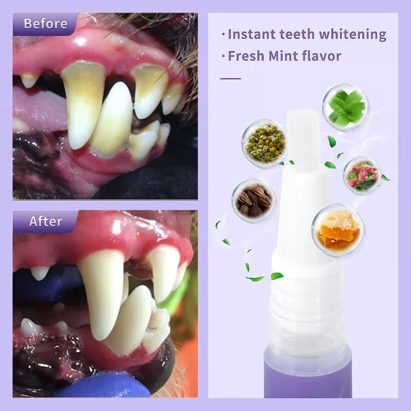 🌈 Pet Oral Repair Gel