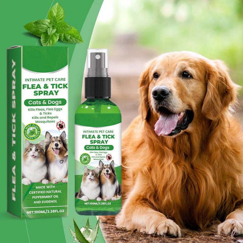 🍃Natural Flea & Tick Spray for Dogs and Cats🐾