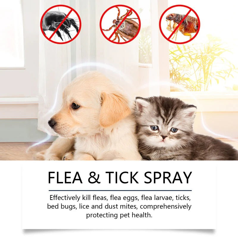 🍃Natural Flea & Tick Spray for Dogs and Cats🐾