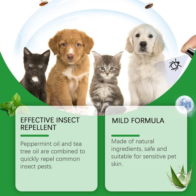 🍃Natural Flea & Tick Spray for Dogs and Cats🐾