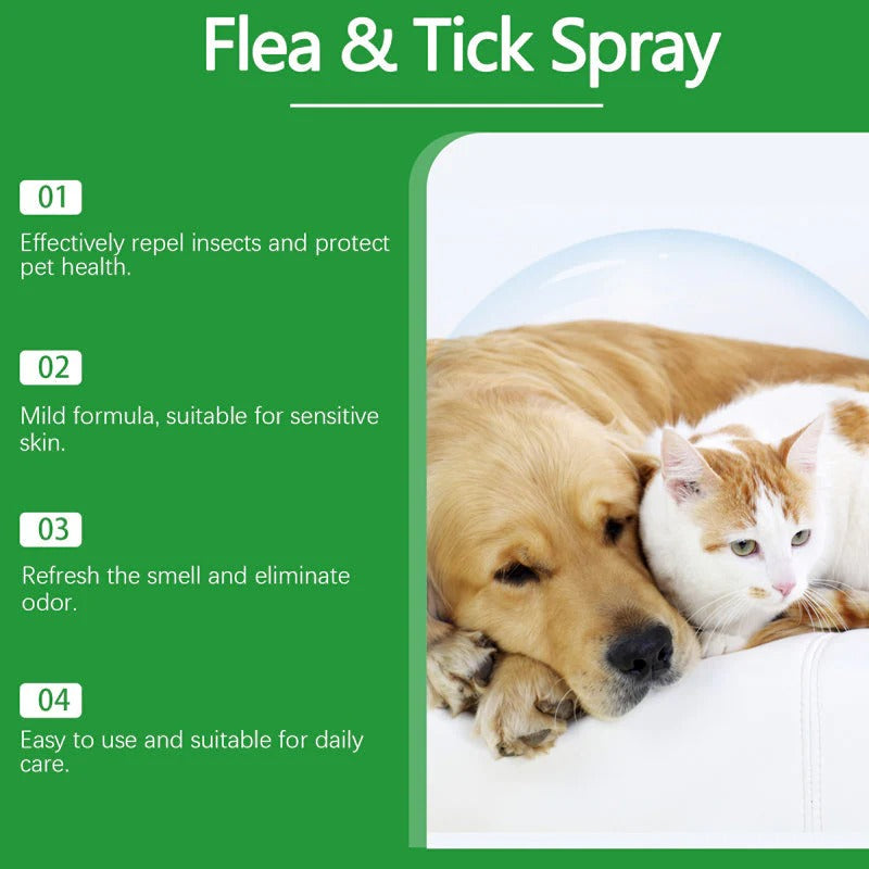 🍃Natural Flea & Tick Spray for Dogs and Cats🐾